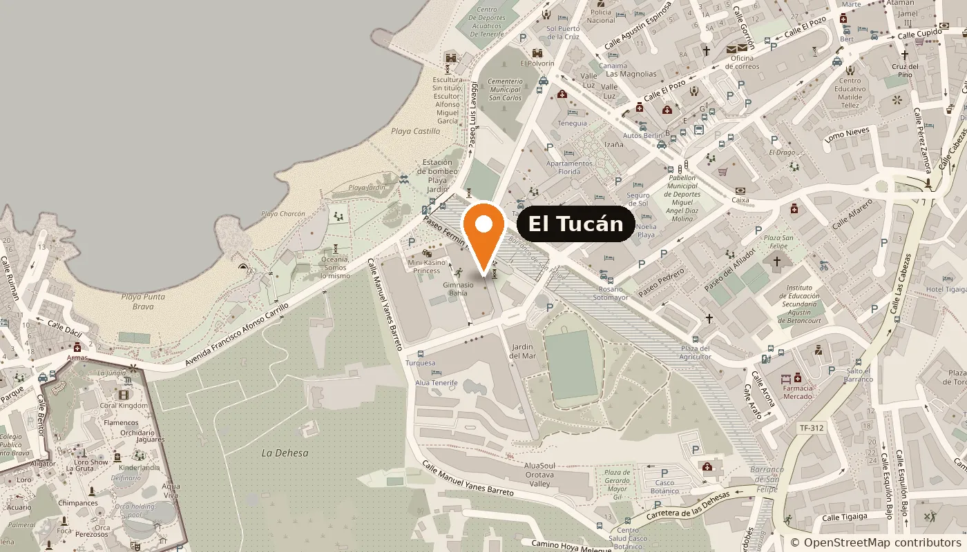 Abrir el mapa en Google Maps